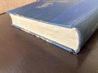 Die Kunst der Renaissance in Italien und im Norden