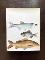Freshwater Fishes : 56 Plates in Colour
