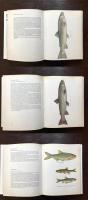 Freshwater Fishes : 56 Plates in Colour
