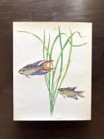 Aquarium fishes and plants