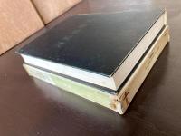 海底結婚式（書き下ろし探偵小説全集）