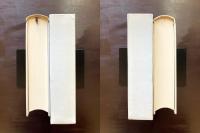 異文化を生きた人々（叢書 比較文学比較文化）