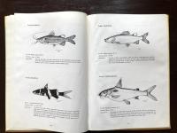 Illustrations of some Freshwater Fishes of the Mekong delta, Vietnam（Contribution of the Faculty of Agriculture University of Cantho No.1）