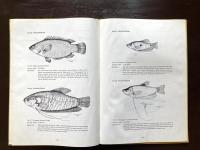 Illustrations of some Freshwater Fishes of the Mekong delta, Vietnam（Contribution of the Faculty of Agriculture University of Cantho No.1）