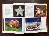 The World Beneath the Sea（The World of Nature）