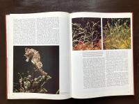 The World Beneath the Sea（The World of Nature）