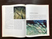The World Beneath the Sea（The World of Nature）