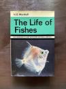 Life of Fishes（The Weidenfeld and Nicolson Natural HIstory）