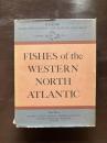 Fishes of the Western North Atlantic（Memoire Sears Foundation for Marine Research Number One,Part Three）