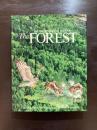The International Books of the Forest : A guide and tribute to the world's forests, Woodlands and jungles