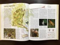 The International Books of the Forest : A guide and tribute to the world's forests, Woodlands and jungles