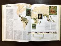 The International Books of the Forest : A guide and tribute to the world's forests, Woodlands and jungles