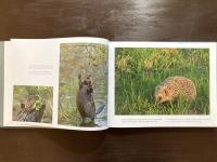Pohjois-Karjala : North Karelia - photographs