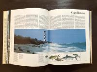 The Magnificent Continent : An International View of a Priceless Heritage, the Great Place of North America