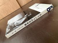 もう一つの日本美 前近代の悪と死（美術選書）