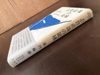 志賀直哉の領域（Litera Works3）