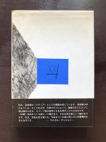 デュシャン（20世紀思想家文庫13）