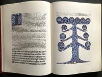 The Red Book : Liber Novus