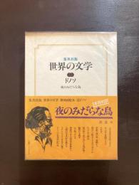 夜のみだらな鳥（集英社版 世界の文学）