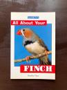 All About Your Finch
