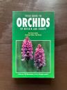 Field Guide to Orchids of Britain and Europe