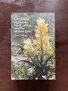 Orchids of Europe, North Africa and the Middle East
