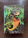 Nepenthes of Sumatra and Peninsular Malaysia