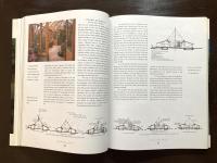The Healthy House : Creating a Safe, Healthy and Environmentally Friendly Home