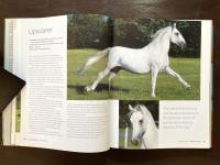 Horse Breeds of the World