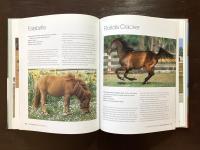 Horse Breeds of the World