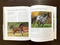 Horse Breeds of the World