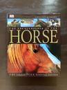The Encyclopedia of the Horse : The Definitive Visual Guide