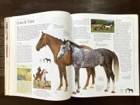 The Encyclopedia of the Horse : The Definitive Visual Guide