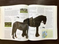 The Encyclopedia of the Horse : The Definitive Visual Guide