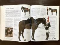 The Encyclopedia of the Horse : The Definitive Visual Guide