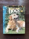 All Colour World of DOGS