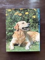 All Colour World of DOGS