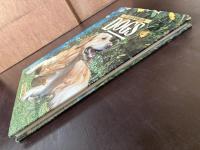 All Colour World of DOGS