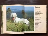 All Colour World of DOGS