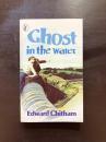 Ghost in the Water