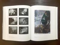 L'ange du Bizarre : Le romantisme de Goya à Max Ernst