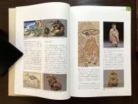 大阪芸術大学 平成二十八年度 講義録 高円宮妃久子 掌中の日本文化：根付に学び、次世代に繋ぐ