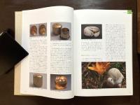 大阪芸術大学 平成二十八年度 講義録 高円宮妃久子 掌中の日本文化：根付に学び、次世代に繋ぐ