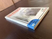 El Testigo Invisible