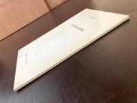 サラジーヌ バルザック/泉利明編註 錬金社［Balzac Sarrasine notes par T.Izumi Éditions Renkinsha］