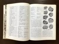 Ancient Jerusalem Revealed