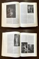 Jesus, Luther und der Papst im Bilderkampf 1871 bis 1918 : Zur malereigeschichte der Kaiserzeit
