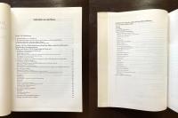 Jesus, Luther und der Papst im Bilderkampf 1871 bis 1918 : Zur malereigeschichte der Kaiserzeit