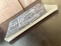 The Complete Engravings, Etchings & Drypoints of Albrecht Dürer