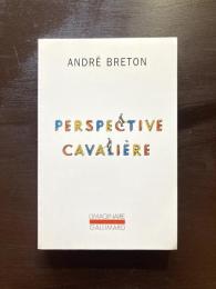 Perspective Cavalière